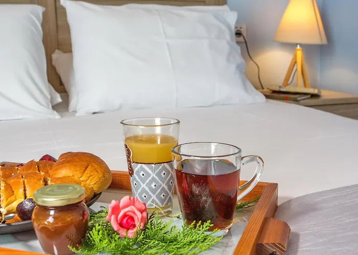 Bed and breakfast Lazy Lizard