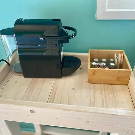 Lazy Lizard Nea Karvali