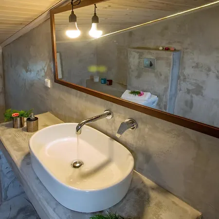 Lazy Lizard Bed & Breakfast