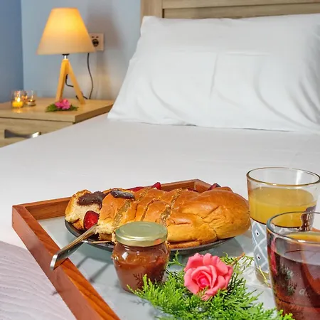 Lazy Lizard 4* Nea Karvali