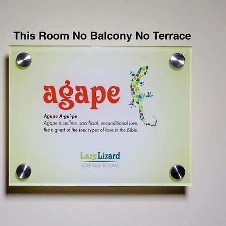 Lazy Lizard Bed & Breakfast