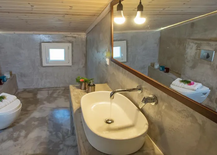 Lazy Lizard Bed and breakfast